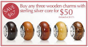 save $67 on Pandora wooden beads sale image